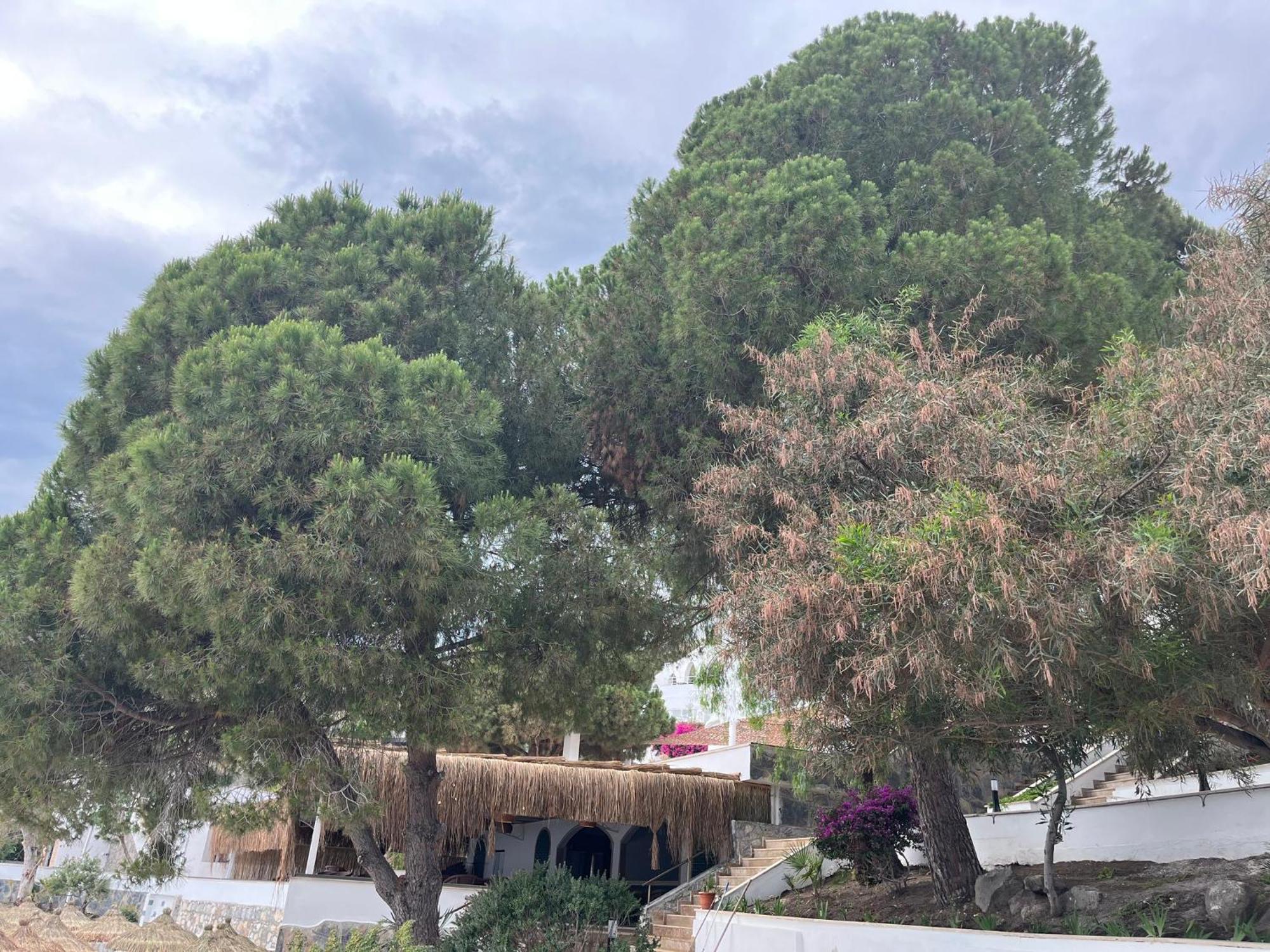 Holiday Inn Resort Bodrum By Ihg Bagian luar foto